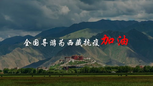 #为西藏加油#西藏加油！多家闽企出手！厦大等高校发声！福建民间救援力量驰援西藏日喀则地震灾区