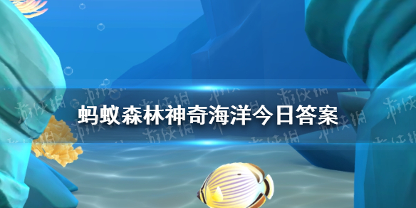 哪种海洋生物以我国的朝代“明”命名神奇海洋1月9日答案最新