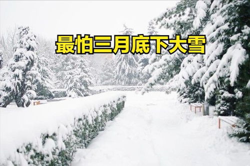 #三月下雪#三月下雪是什么征兆？
